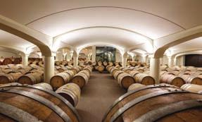 DEGUSTAZIONE GUIDATA DI VINI E PRODOTTI DEL TERRITORIO WINE EXPERIENCE Programma della Wine Experience Visita guidata in un percorso affascinante tra vigneti,