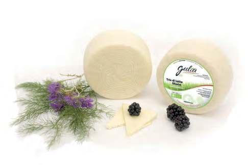 Ingredienti: tris di latte silano biologico Pezzatura: da kg xxx a kg xxx Stagionatura: xxx Shelg Life: xxx gg.