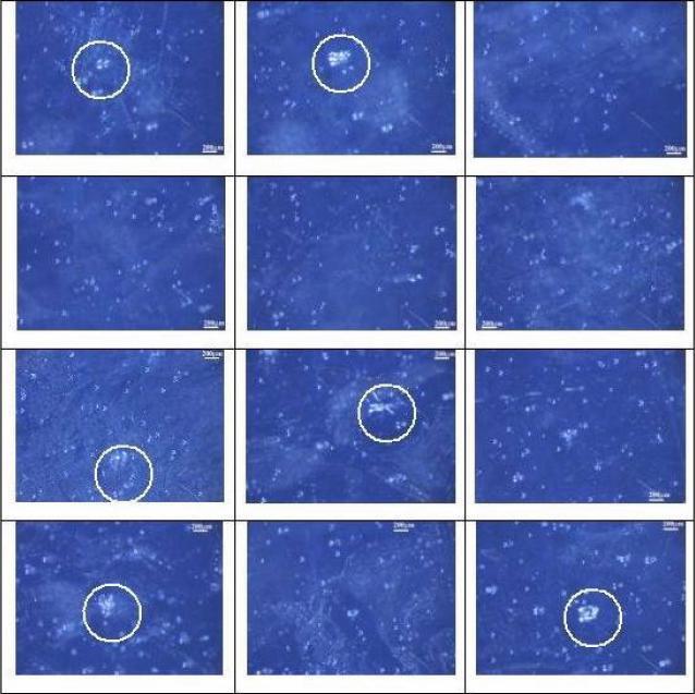 ANNO 2005 RADIAZIONE DEL TORIO EVIDENZIATA ALL INTERNO DEI CERCHI IL TORIO CON GLI ULTRASUONI HA UNA RADIAZIONE DIMEZZATA