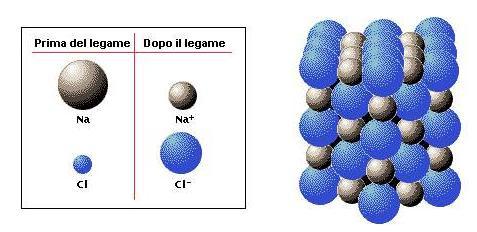 IONI La perdita di uno o più e+ trasforma gli atomi in ioni positivi L acquisizione di uno o più e+ trasforma gli atomi in ioni negativi e- Sodio cede un elettrone al Cloro Si formano così gli ioni