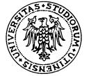 Università degli Studi di Udine Corso di Perfezionamento " IDIFO4 - Innovazione Didattica in Fisica e Orientamento a.a. 2012/2013 MANIFESTO DEGLI STUDI Art.