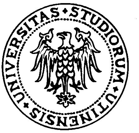 Università degli Studi di Udine Dipartimento di Fisica Via delle Scienze 208, 33100 Udine tel +39 0432 558210 fax -8222 www.fisica.uniud.