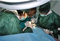 gestione degli impianti nel settore frontale; utilizzare adeguatamente le nuove opzioni implanto-protesiche e le metodiche non
