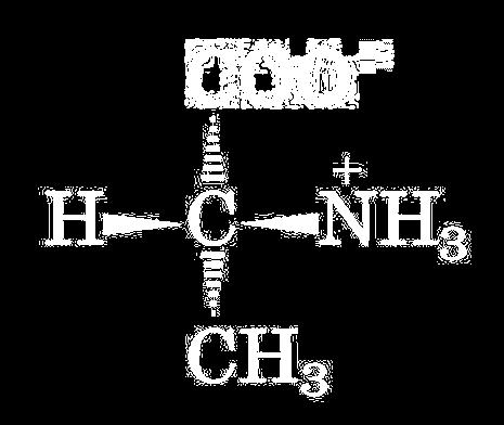 L-Gliceraldeide