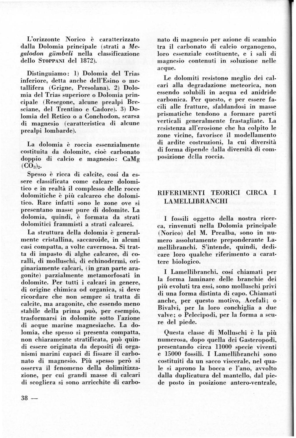 L'orizzonte Norico è caratterizzato dalla Dolomia principale (strati a Megalodon giimbeli nella classificazione dello STOPPANI del 1872).