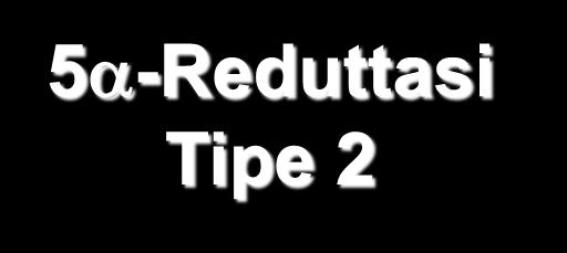 Finasteride: inibizione della produzione di DHT 5 -Reduttasi Tipo 1 Testosterone