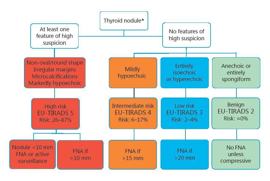 Algorithm of EU-TIRADS for malignancy risk stratification and