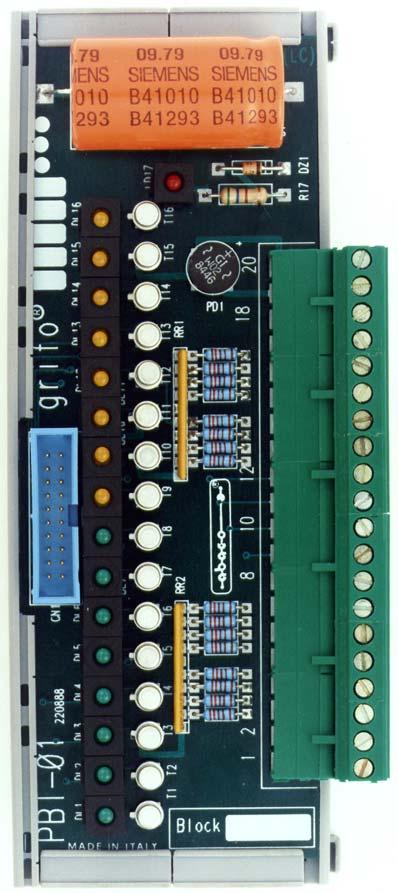 ITALIAN TECHNOLOGY grifo FIGURA 13: FOTO DI PBI 01 NEL CONTENITORE PER