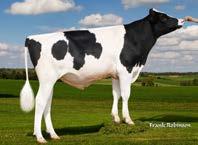 HO840003139951900 RAIDEN X T-GEN-AC ABS 7273 ARI VG-85 KINGBOY X SEAGULL-BAY MISS AMERICA VG-87 ROBUST 540HO01157 I HO840003138922760 BANDARES X PEAK BURBERRY JSPR P501 VG-87 JOSUPER X DA-SO-BURN