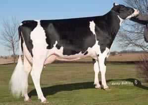 I HOUSA000072031812 YODER X HOL-STAR LINER TEROKA HEADLINER X HOL-STAR BAXTER TERRE VG-88 ALTABAXTER PTAT 1.96 Udder Comp. 2.41 Feet & Legs 1.39 Body Comp. 0.27 Dairy Comp. 0.49 Statura 0.