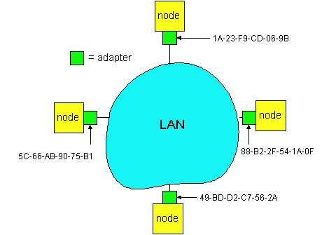 Indirizzi LAN Ogni scheda di rete su una LAN ha un indirizzo LAN univoco 5 Indirizzi LAN Distribuzione degli indirizzi MAC gestita da IEEE I produttori di schede di rete detengono una porzione degli