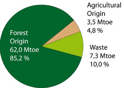 Composizione delle Biomasse nell