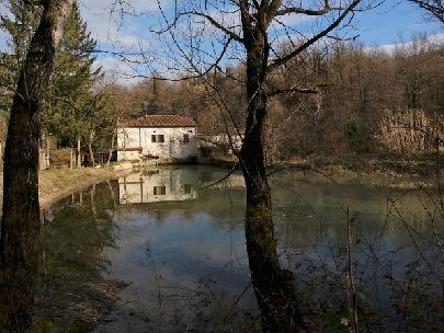 (12) Il mulino ad acqua