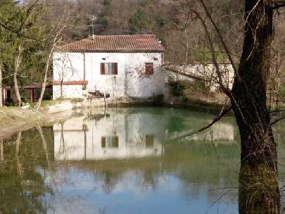 alimentazione e mulino