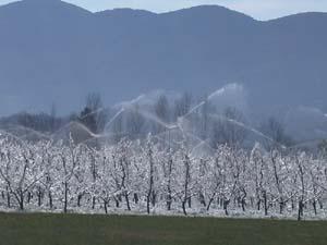 TEMPERATURE CRITICHE Irrigazione antibrina Mezzi termici Utilizza il calore di