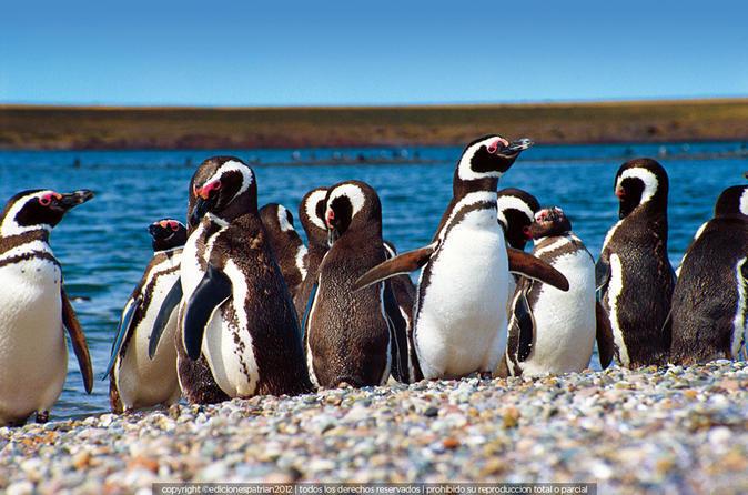 Situata sulla riva del Canale Beagle, e circondata da forme naturali che danno veramente l'impressione di essere arrivati alla fine del mondo.