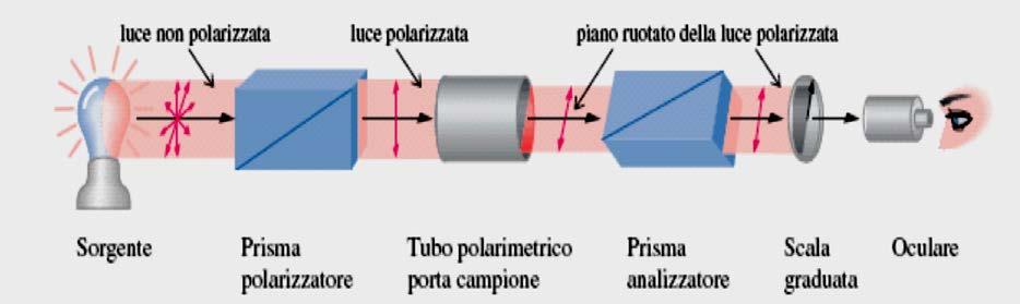 .1. Il polarimetro raggio di luce non polarizzata: infiniti piani di vibrazione del campo magnetico () e del campo elettrico (E) ortogonali tra loro.