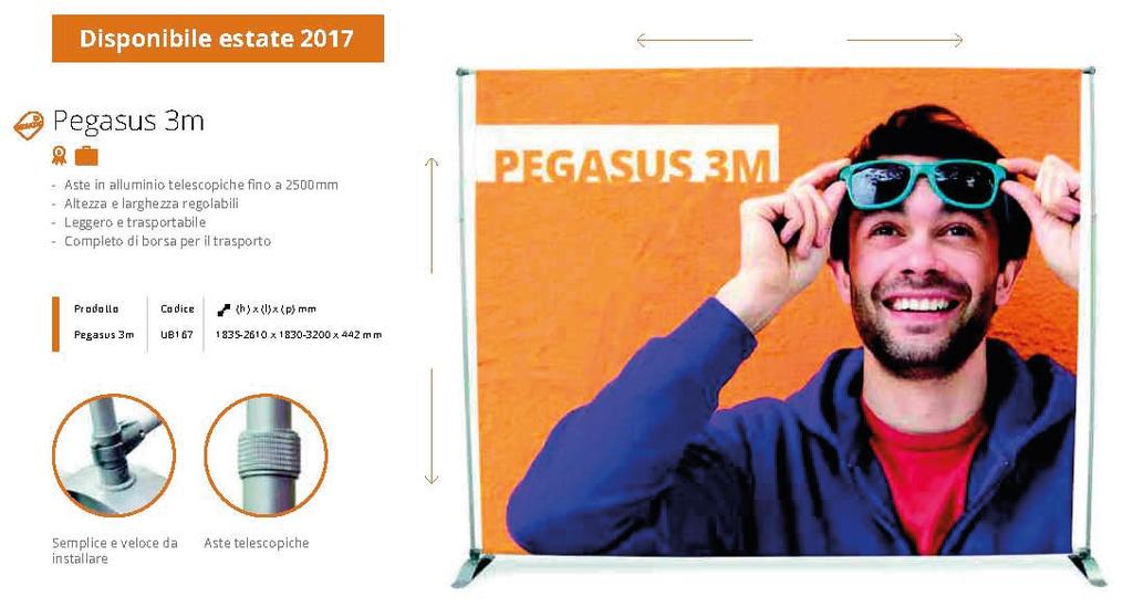 PEGASUS 3mt Aste in alluminio telescopiche fino a 250cm Altezza e larghezza regolabile Leggero e trasportabile Completo di borsa da trasporto H da