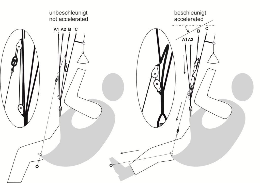 Il SENSIS ha già un alta velocità di base, ma essa può essere incrementata considerevolmente attraverso l uso del sistema di velocità addizionale.