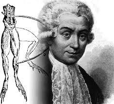 Storia Nascita della neurofisiologia Luigi Galvani (XVIII secolo): la stimolazione elettrica del nervo di una rana produce la contrazione del muscolo cui è attaccato Johannes Müller