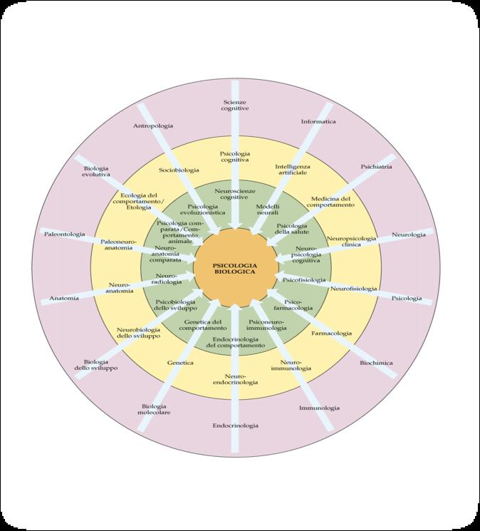 Psicobiologia Sintesi di molte discipline scientifiche Università Kore di Enna, Prof.