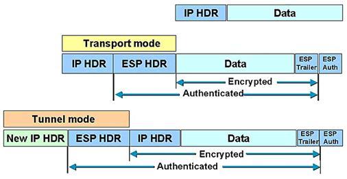L autenticazione rispetto ad AH è leggermente differente, perché non copre l header IP esterno. ESP inoltre aggiunge un header e un trailer poiché incapsula tutti i dati protetti.