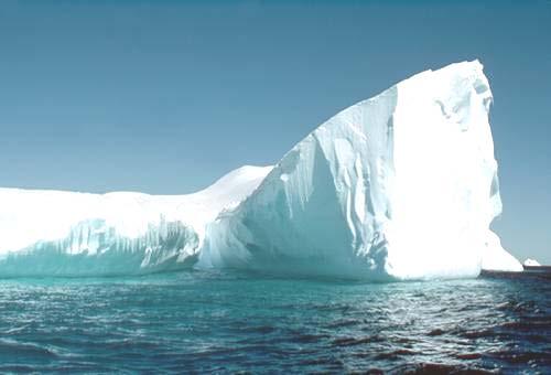 Questo spiega il motivo per cui il ghiaccio galleggia sull'acqua.