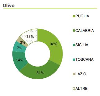 Dati che fanno dell olivo uno dei principali orientamenti produttivi bio, dopo le colture foraggere (342.653 ha), i pascoli (321.011 ha) e i cereali (299.639 ha).