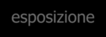 Tassi di sieroconversione (SC) per modalità di esposizione (SIROH, 1992-2010) HCV HBV Tipo di esposizione SC/esp Tasso % I.C. 95% Esp. Percutanea 30/7274 0.41 0.