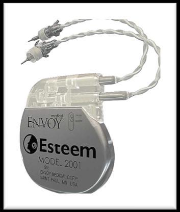 2. IMPIANTO ESTEEM ENVOY SYSTEM La Esteem-Hearing Implant, Envoy Medical Corporation Saint Paul, MN, USA, è una protesi totalmente impiantabile indicata per il trattamento dell ipoacusia