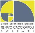 53 Distretto Scolastico Nocera Inferiore LICEO SCIENTIFICO STATALE RENATO CACCIOPPOLI SCIENTIFICO CLASSICO LINGUISTICO SCIENTIFICO SCIENZE APPLICATE Via Domenico Velleca, 56 84018 SCAFATI - (SA) Tel.
