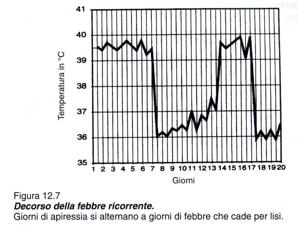 Febbre ondulante: si hanno cicli febbrili e afebbrili che durano vari giorni con passaggio graduale (per lisi) dagli uni