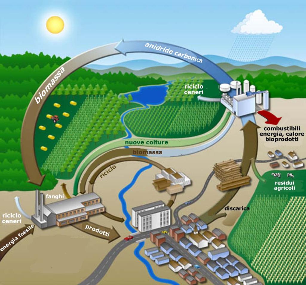BIOMASSE: sinergia totale bioenergia-territorio-ambiente
