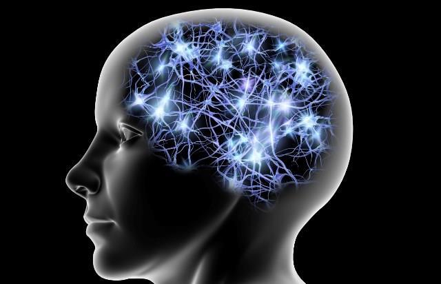 IL CERVELLO ANZIANO SAGGEZZA COMPETENZA