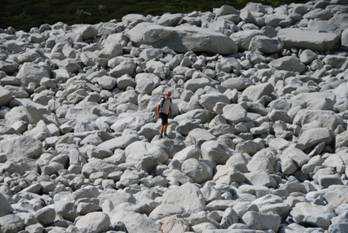 ZONA EST 2165 Rio delle Fonti, Selva dei Molini (Sperling Macconi) Un tema