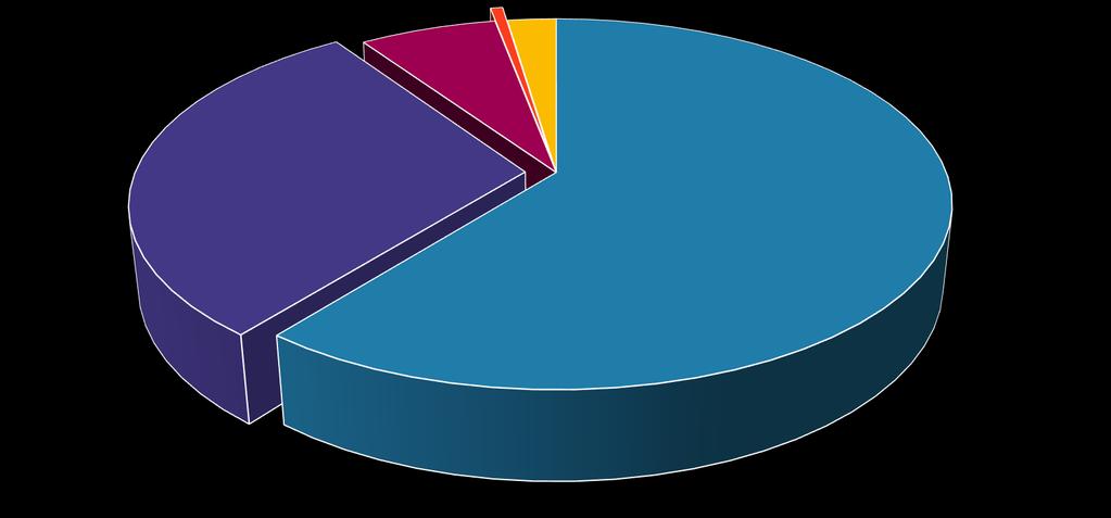 LE NOSTRE ENTRATE TOTALE 571,1 mln Interessi e recuperi contributivi 37,7 Rendita mobiliare 3,4 Rendita immobiliare 13,4 La Rendita mobiliare pari a 3,4 mln si riferisce solo alle quote distribuite.