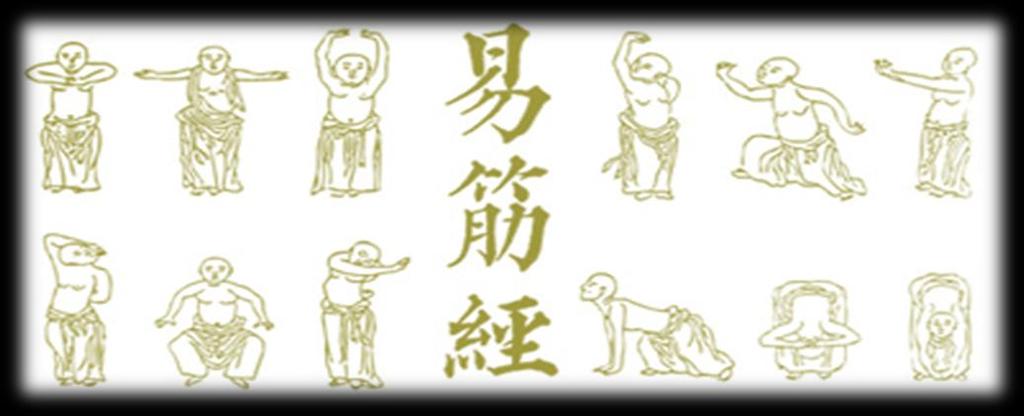 Yi Jin Jing - Qi Gong dei 12 meridiani Esercizi che agiscono su: o Muscoli (Wei Qi) o Vasi e Carne