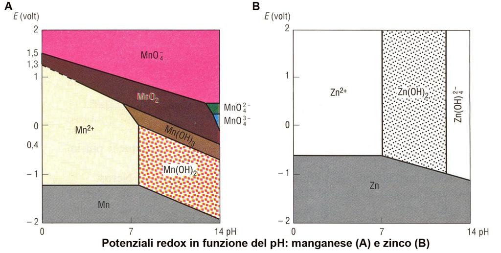 Potenziali redox in