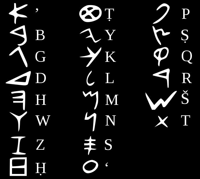 L alfabeto fenicio, dal quale erano assenti le vocali, risale al 1500 a. C.