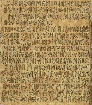 L alfabeto etrusco I suoni che le lettere etrusche esprimono possono essere compresi perché la scrittura degli etruschi è l adattamento di un sistema alfabetico che dall 800 a. C.