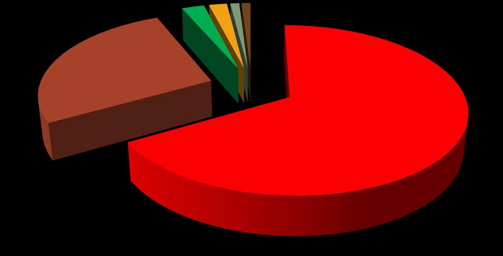 COME SONO RIPARTITE LE TERMICHE RINNOVABILI Le biomasse