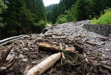 In totale i deposito della colata detritica che non hanno raggiunto il rio San Pellegrino sono stimabili in circa 3000 mc.