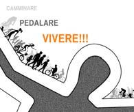 Infrastrutture stradali ed eventuali responsabilità degli Enti proprietari della strada Mobilità ciclabile e caratteristiche della sede stradale 11 ottobre 2013 - Sala Congressi - Carpi Sicurezza