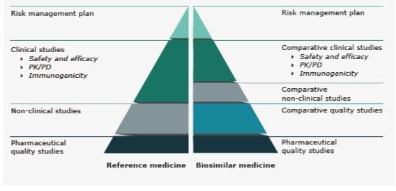 I Farmaci BIOSIMILARI Un farmaco biosimilare è un medicinale SIMILE MA NON IDENTICO ad un altro medicinale biologico già commercializzato nell UE 1 - GLI STUDI DI QUALITÀ COMPARATIVI Studi in vitro