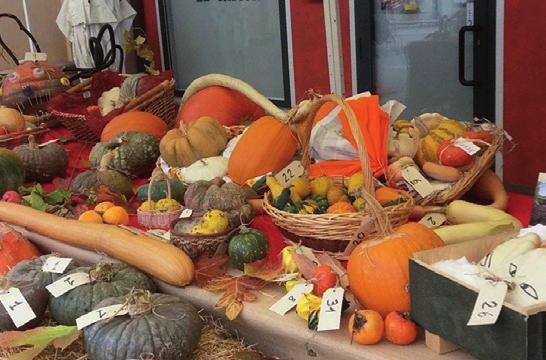 delle CASTAGNE in Borgo