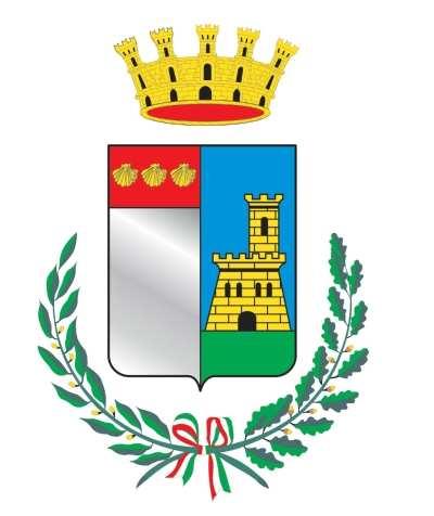 CITTA DI SANTENA Provincia di Torino VERBALE DI DELIBERAZIONE DEL CONSIGLIO COMUNALE N.