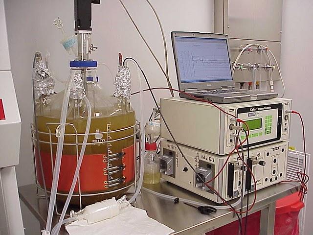 produrre biodiesel usando le biomasse come substrato per lieviti oleaginosi. B4.