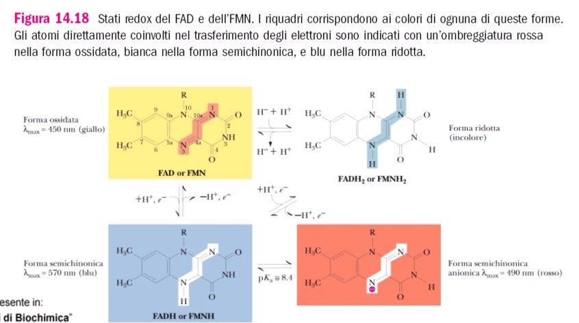 Esistono in 3