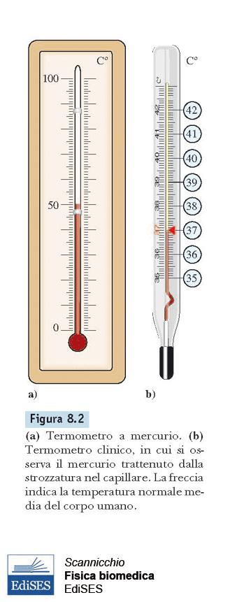 Termometro clinico Misura la temperatura corporea.