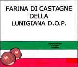 Castagna, un prodotto di nicchia: I prodotti DOP in Italia -Castagna di Vallerano, Lazio -Farina di Neccio della Garfagnana, Toscana